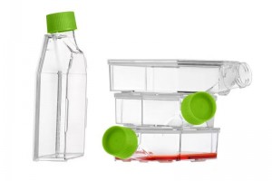 75 cm2 Cell Culture Flasks, Sealed Cap, TC-treated (90pcs)