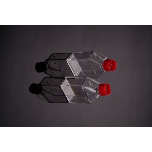 TC-Treated Cell Culture Flasks, Vent Cap, 25cm2 (300pcs)