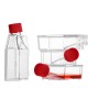 25 cm2 Cell Culture Flasks, Sealed Cap, TC-Treated (300 pcs)