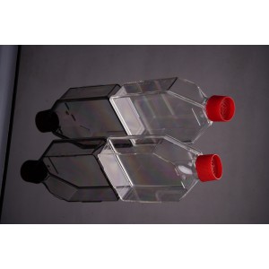 TC-Treated Cell Culture Flasks, Vent Cap, 75cm2 (90pcs)