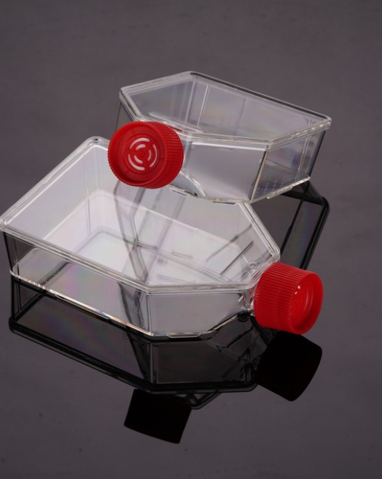 75 cm2 Cell Culture Flasks, Vented Cap, TC-Treated (90 pcs)