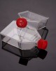 75 cm2 Cell Culture Flasks, Vented Cap, TC-Treated (90 pcs)