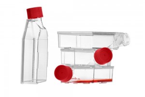 75 cm2 Cell Culture Flasks, Sealed Cap, TC-Treated (90 pcs)