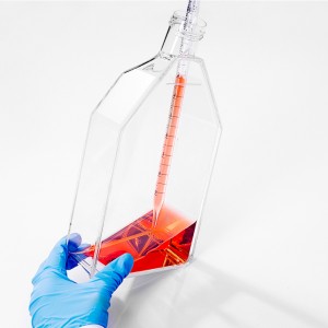 TC-Treated Cell Culture Flasks, Seal Cap, 175cm2 (50pcs)
