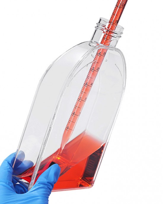 150 cm2 Cell Culture Flasks, U-Shaped, Vented Cap, TC-Treated (50pcs)