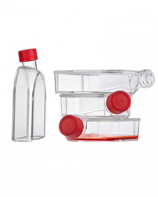 75 cm2 Cell Culture Flasks, U-Shaped, Sealed Cap, TC-Treated (90pcs)