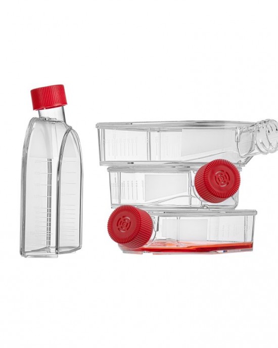 75 cm2 Cell Culture Flasks, U-Shaped, Vented Cap, TC-Treated (90pcs)