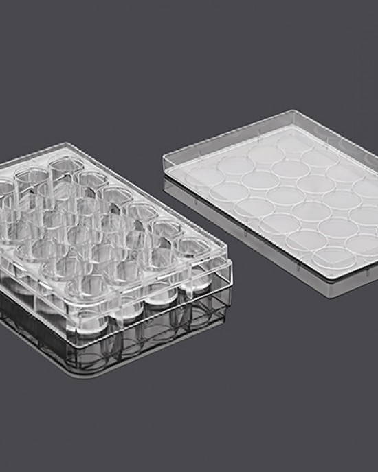 24-Well Cell Culture Plates, NP-Treated, Flat-bottom (50 pcs, individually wrapped) 24-Well Cell Culture Plates, NP-Treated, Flat-bottom (50 pcs, individually wrapped)