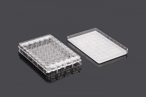 48-Well Cell Culture Plates, TC-treated, Flat-bottom (50pcs, Individually wrapped)