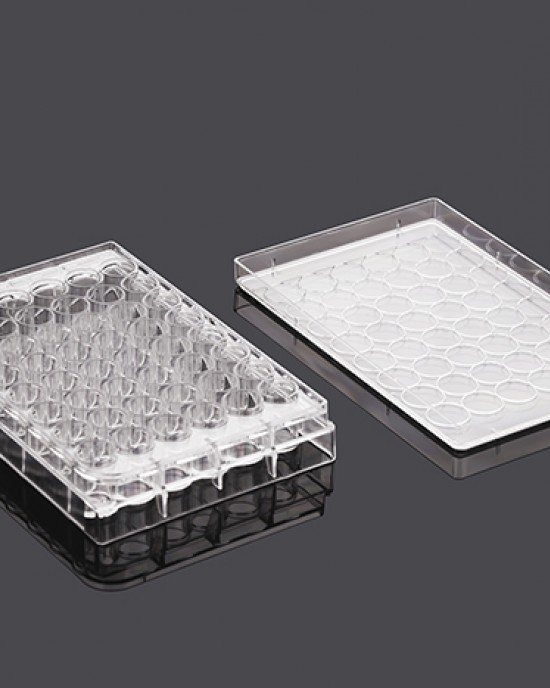 48-Well Cell Culture Plates, TC-Treated, Flat-bottom (50 pcs, individually wrapped) 48-Well Cell Culture Plates, TC-Treated, Flat-bottom (50 pcs, individually wrapped)