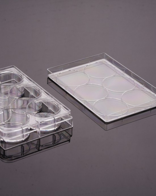 6-Well Cell Culture Plates, AD-Treated, Flat-bottom (50 pcs, individually wrapped)