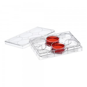 ADsurface 6-Well Cell Culture Plates (50pcs, Flat-bottom, Individually wrapped)