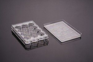 12-Well Cell Culture Plates, TC-treated, Flat-bottom (50pcs, Individually wrapped)