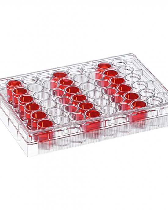 TC-treated 48-Well Cell Culture Plates (50pcs, Flat-bottom, Individually wrapped)