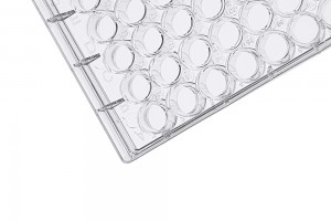 48-Well Cell Culture Plates, TC-Treated, Flat-bottom (50 pcs, individually wrapped)