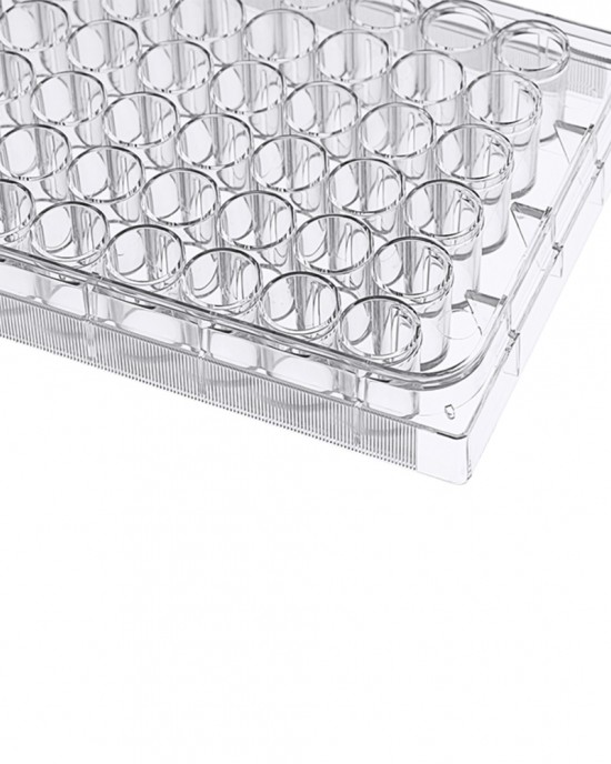 48-Well Cell Culture Plates, TC-Treated, Flat-bottom (50 pcs, individually wrapped) 48-Well Cell Culture Plates, TC-Treated, Flat-bottom (50 pcs, individually wrapped)