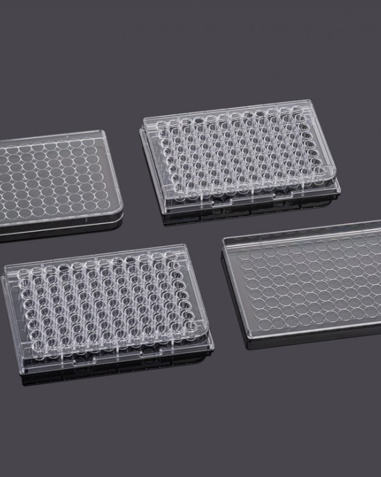 thumbnail image 2 of 6 Well Tissue Plate 96 Well Cell Culture Plate With Tissue Culture TC Treated For Lab U Bottom Individual Packaging Sterile Pill Capsules Filling Tray 2 of 12