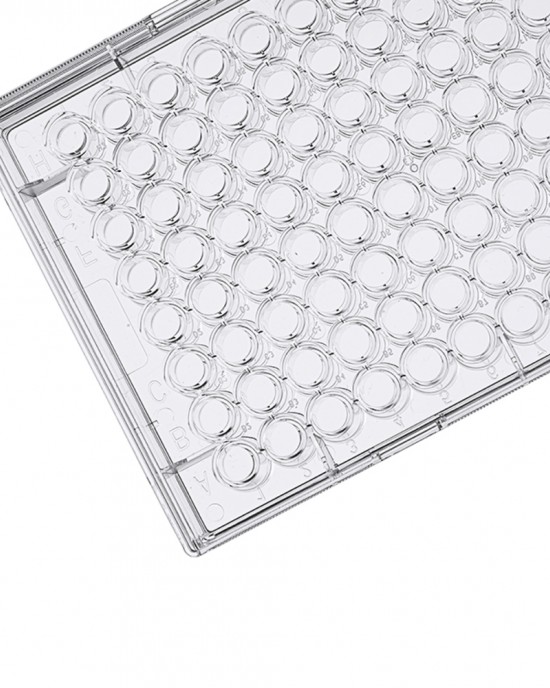 96-Well Cell Culture Plates, NP-Treated, U-bottom (50 pcs, individually wrapped) 96-Well Cell Culture Plates, NP-Treated, U-bottom (50 pcs, individually wrapped)