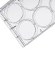 NPsurface 6-Well Cell Culture Plates (50pcs, Flat-bottom, Individually wrapped)