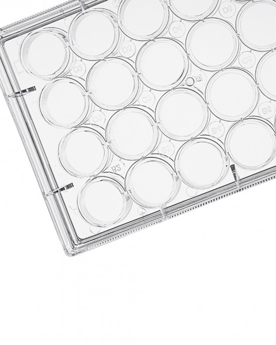 NPsurface 24-Well Cell Culture Plates (50pcs, Flat-bottom, Individually wrapped)