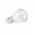 Erlenmeyer Flasks