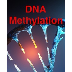 Applications in DNA Methylation Analysis