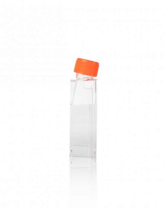 TC-Treated Cell Culture Flasks, Seal Cap, 25cm2 (100pcs, Individually wrapped)