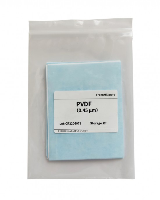 PVDF Transfer Membranes, 0.45μm (10pcs, 7cm×9cm)